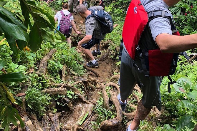 Hike El Yunque Rainforest and Kayak Bio Bay Combo Tour - Safety on Both Ends: Helmets, USCG Lifejackets, and Guided Control