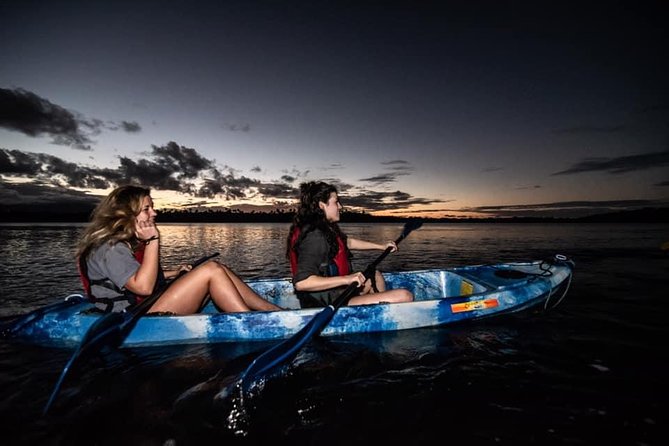 Hike El Yunque Rainforest and Kayak Bio Bay Combo Tour - Mosquitoes, Water Shoes, and Bioluminescence Reality Checks