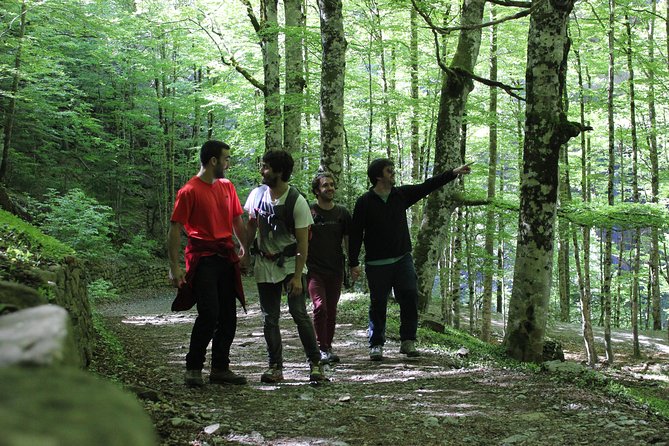 Hike from San Sebastian to San Pedro across St James Way - Key highlights worth planning for