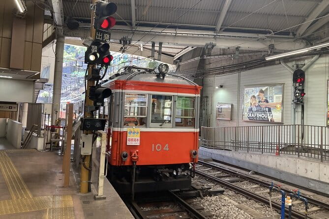 Hike Hakone Hachiri - Cedar Avenue and the Tokugawa planting story