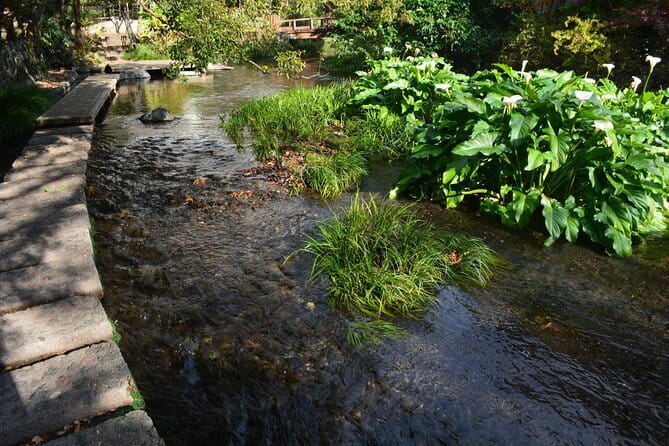 Hike Hakone Hachiri - Genbegawa World Water Heritage Area: ending with water in Mishima