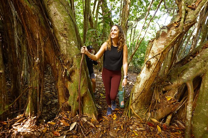 Hike Honolua Ridgeline - The 2-Mile Route: Shade, Views, and Slippery Sections