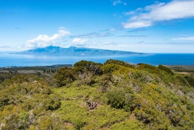 Hike Honolua Ridgeline - Native Forest + the Puʻu Kukui Water Story