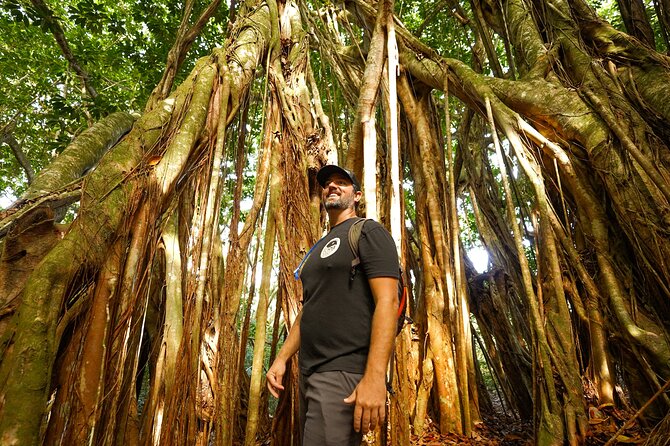 Hike Honolua Ridgeline - Lookouts That Turn Into Real Lessons