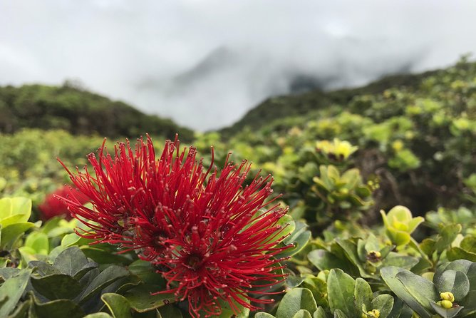 Hike Honolua Ridgeline - Price and Value: What You Get for Your Time