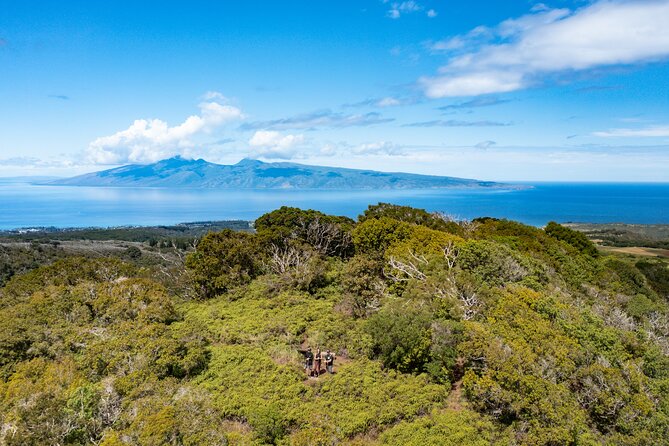 Hike Honolua Ridgeline - Native Forest + the Puʻu Kukui Water Story