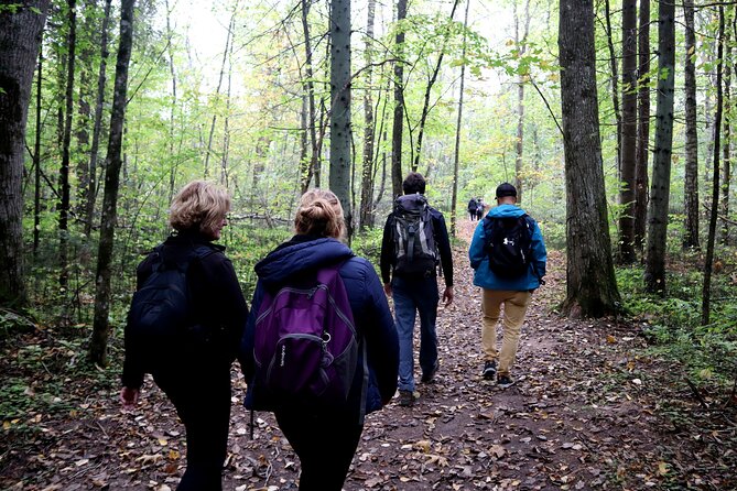 Hike In Gauja National Park - Up And Down The Switzerland Of Latvia - Weather rules and how to plan for a “good day” hike