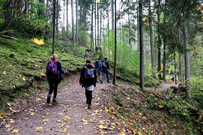 Hike In Gauja National Park - Up And Down The Switzerland Of Latvia - Gauja National Park and Sigulda’s Little Switzerland nickname
