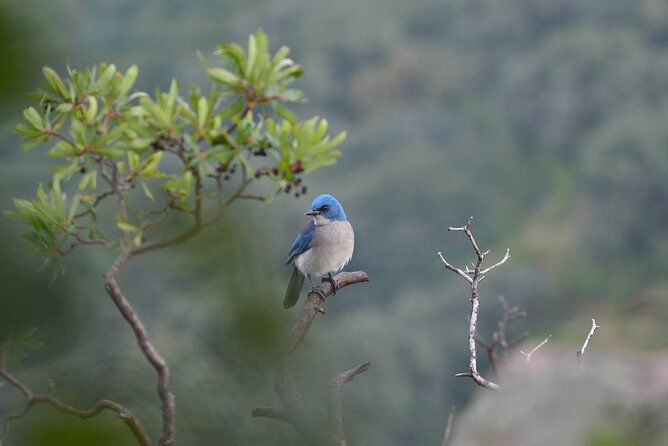 Hike in the Sierra de Santa Rosa - Key Points That Make This Hike Worth Your Morning