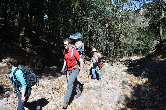 Hike in the Sierra de Santa Rosa - From Guanajuato City to the Sierra de Santa Rosa, Morning Made Easy