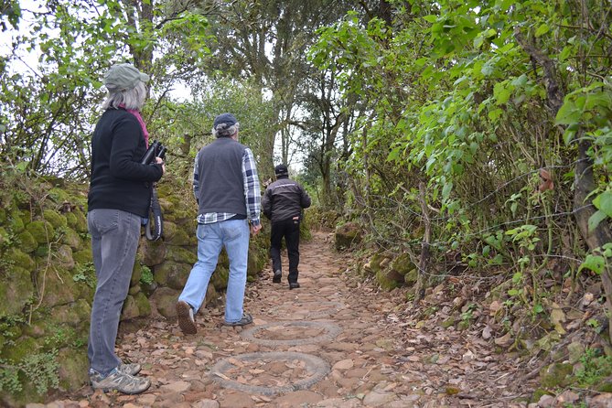 Hike in the Sierra de Santa Rosa - Reaching the Valley Viewpoint: Your Effort Gets Rewarded