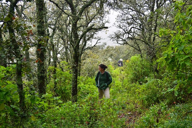 Hike in the Sierra de Santa Rosa - Should You Book This Sierra de Santa Rosa Hike?