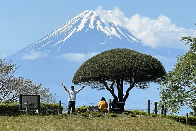 Hike Japan Heritage Hakone Hachiri with certified mountain guide - Key highlights worth knowing