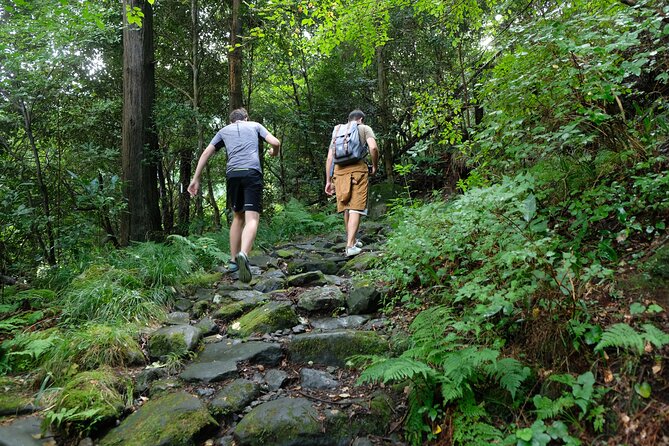 Hike Japan Heritage Hakone Hachiri with certified mountain guide - Lake Ashi: shoreline walking, Heiwa no Torii, and Mt Fuji’s best angles