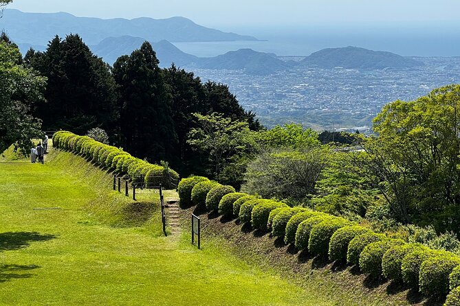 Hike Japan Heritage Hakone Hachiri with certified mountain guide - Cedar Trees of Hakone Old Road and the Hakone Checkpoint you can actually picture