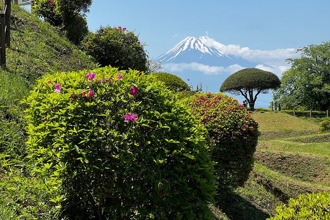 Hike Japan Heritage Hakone Hachiri with certified mountain guide - Mishima finish: Mishima Taisha, Genba River, and the Shinkansen door closing