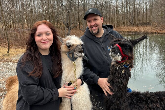 Hike & Lunch with Llamas - Key highlights you’ll feel right away