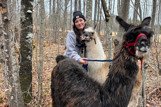 Hike & Lunch with Llamas - The 2-hour flow: barnyard welcome, llama-goat walk, then lunch