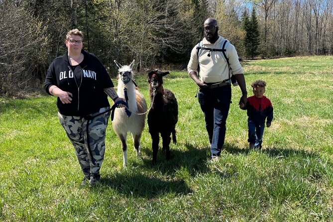 Hike & Lunch with Llamas - Price and value: what $56.20 gets you on a farm day