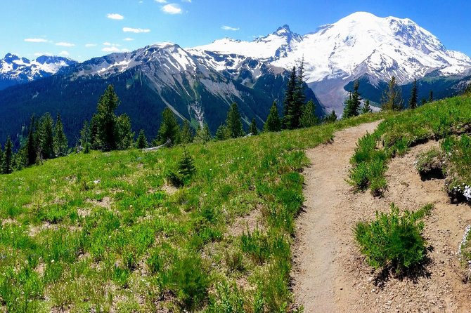 Hike Mt. Rainier & Taste Yakima Valley Wine: All-Inclusive Day Tour from Seattle - Food and comfort: the “all-inclusive” part that prevents cranky moments