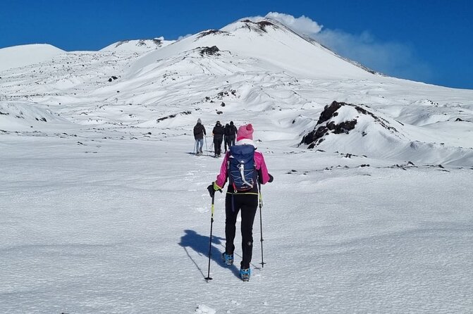 Hike near the summit craters up to the maximum safe altitude currently foreseen - The best kind of geology tour: short stops, real explanations, and motivation