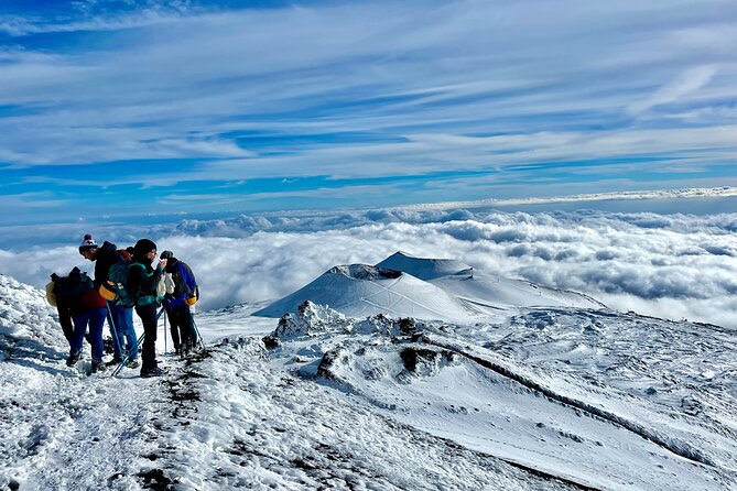 Hike near the summit craters up to the maximum safe altitude currently foreseen - Descent: older craters, lava tunnels, and back to the cable car