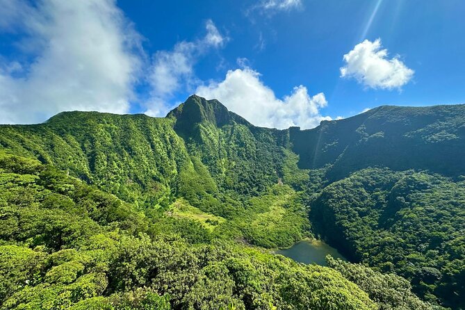 Hike St. Kitts: Highest peak Mount Liamuiga Volcano - Wildlife and forest details that make the hike feel alive