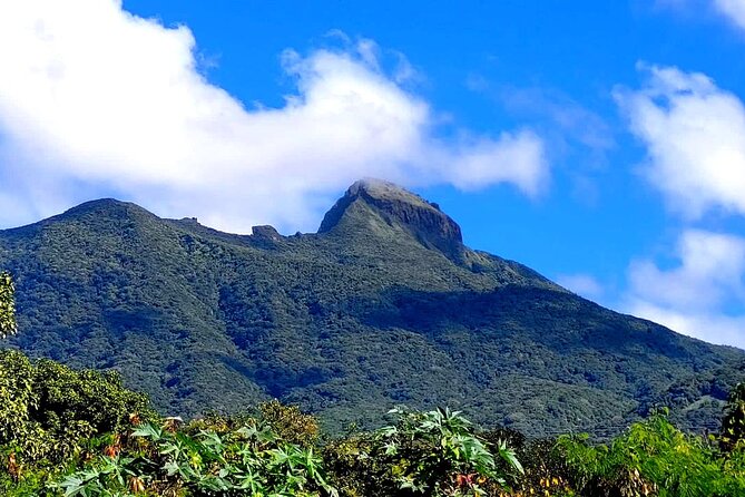 Hike St. Kitts: Highest peak Mount Liamuiga Volcano - What’s included (and what you should plan to add)