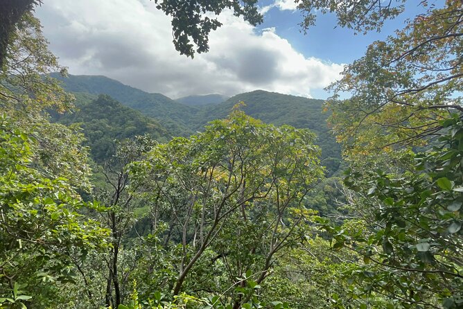 Hike St Kitts: Wingfield Rainforest and Romney Experience - Guides who tailor the day make the difference