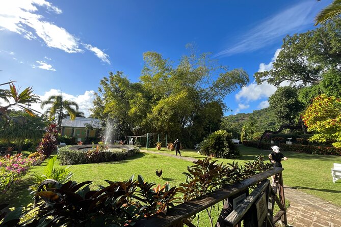 Hike St Kitts: Wingfield Rainforest and Romney Experience - The rainforest hike itself: sights, sounds, and small wildlife moments