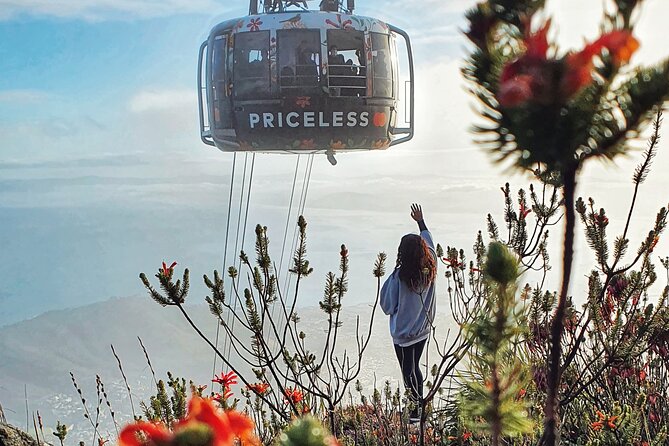 Hike Table Mountain with a Guide - Choose Route - What India Venster feels like (and who should pick it)
