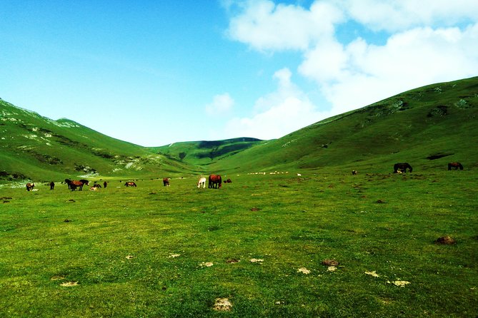 Hike the heart of the Basque country - Breakfast on the way out: fuel first, then start climbing
