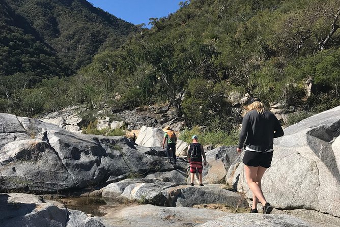Hike the native Pericu road in Sierra de la Laguna. - Key things that make this hike special