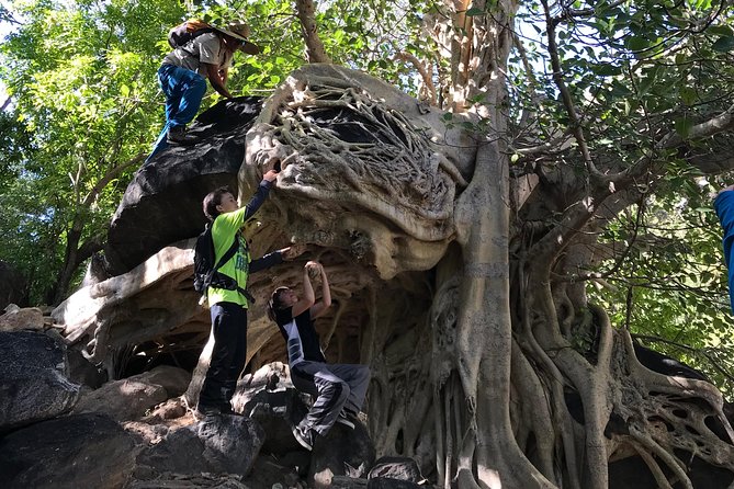 Hike the native Pericu road in Sierra de la Laguna. - What to pack and who should do this hike