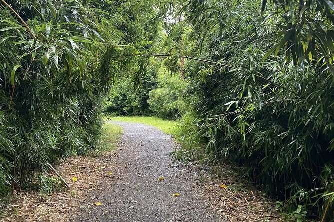 Hike to a Tropical Waterfall - pick up included - What to wear and bring when the trail turns muddy