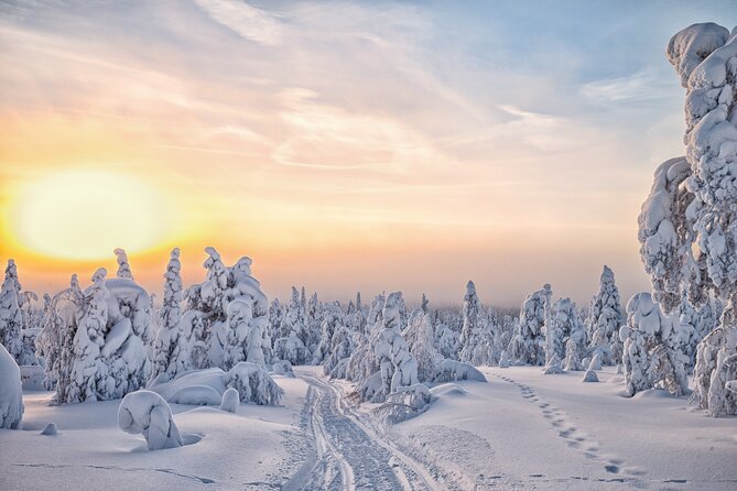 Hike to Frozen Waterfalls of Korouoma Including BBQ Lunch from Rovaniemi - Lappish food by the fire: BBQ lunch and blueberry tea
