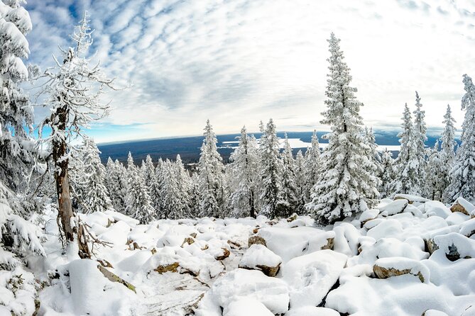 Hike to Frozen Waterfalls of Korouoma Including BBQ Lunch from Rovaniemi - Guide energy: from Chris to Alize and Louis