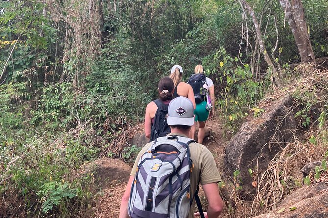 Hike to Monkey Mountain (Transportation & fresh coconut Included) - Monkey Mountain From Sayulita: a short trip that turns into a summit story