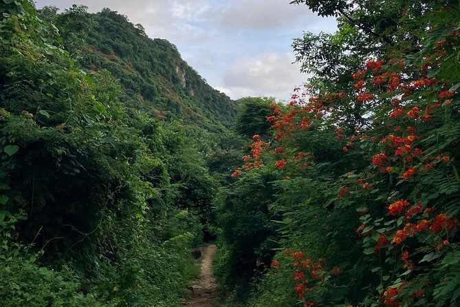 Hike to Monkey Mountain (Transportation & fresh coconut Included) - Who should do this Monkey Mountain hike (and who should skip it)