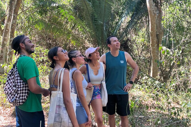 Hike to Monkey Mountain (Transportation & fresh coconut Included) - The 8 km round-trip hike: what the trail feels like in real terms