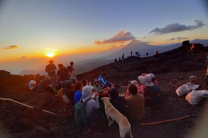 Hike to Pacaya Volcano from Antigua - Horses, Walking Sticks, and How to Choose Your Effort Level