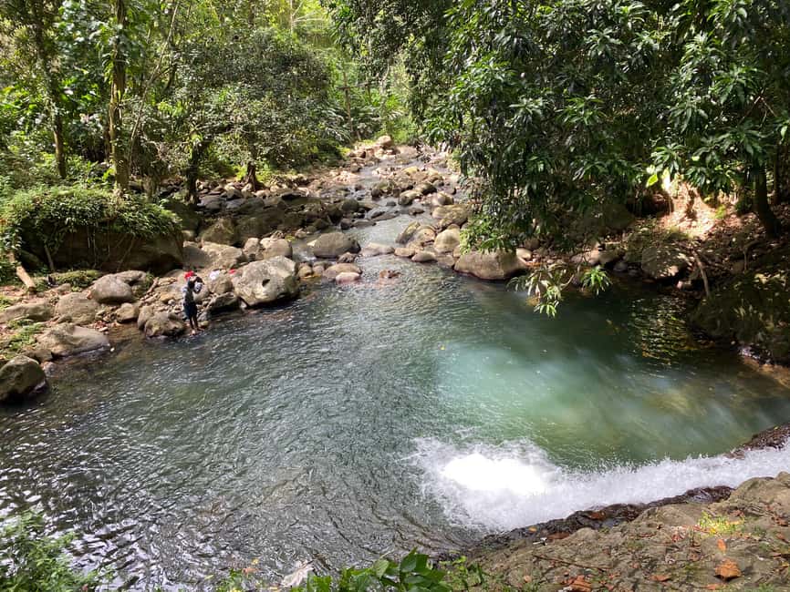 Hiking Adventure - Why the Seven Sisters Rainforest Hike Feels Like Real Grenada