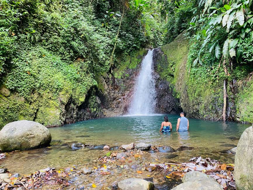 Hiking Adventure - Your Guide and the Story Behind the Rainforest