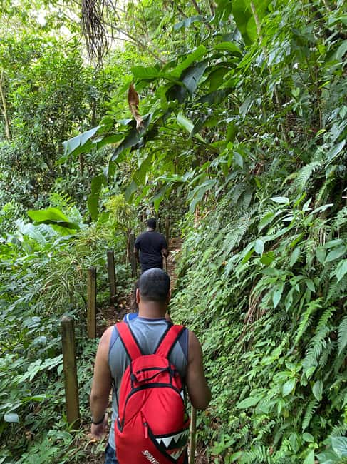 Hiking Adventure - Who This Adventure Is Best For (and Who Might Reconsider)
