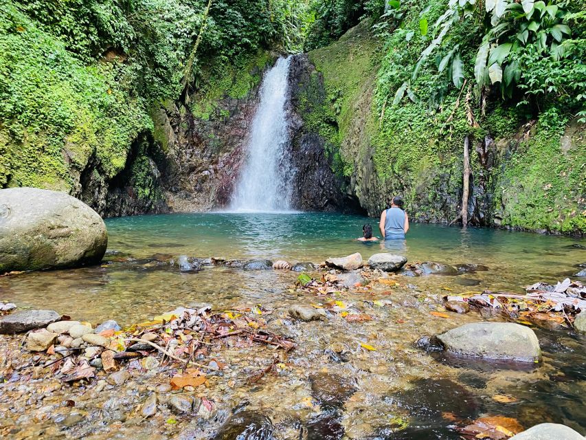 Hiking Adventure - Should You Book This Rainforest Hike to Seven Sisters?