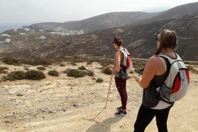 Hiking Adventure in Mykonos with Lunch Option - Picking Your Route: 5 km Mersini Beach vs 10 km Wind Path