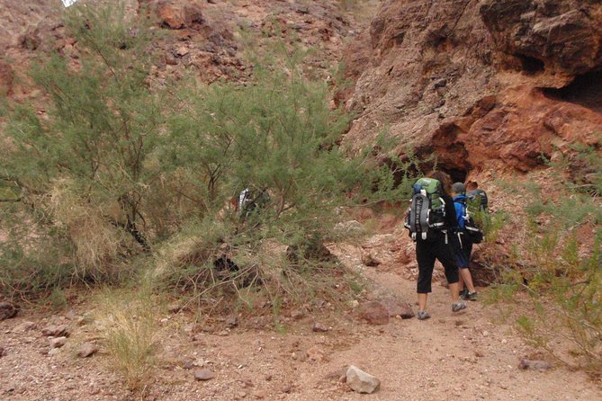 Hiking Adventure in White Rock Canyon and Desert Hot Springs - Entering the canyon: slot canyons, shade, and the petroglyph hunt
