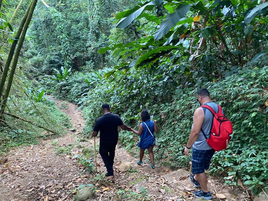 Hiking Adventure - Getting There Smoothly: Pickup from Hotel and Cruise Port