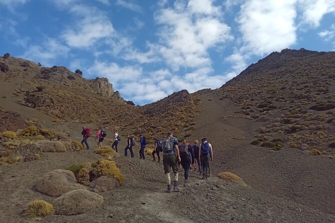 Hiking and summiting the Atlas Mountains day trip from Marrakech - Key Highlights You’ll Actually Feel During the Day