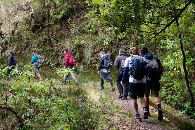 Hiking and Trekking tours in Madeira - Key things I’d bet on before you book